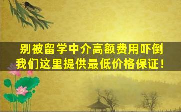 别被留学中介高额费用吓倒 我们这里提供最低价格保证！